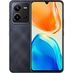 Vivo V25e