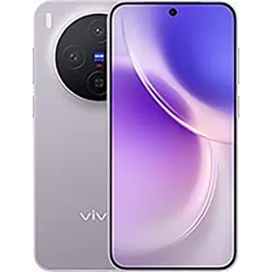 Vivo X300